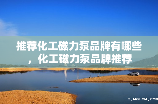 推荐化工磁力泵品牌有哪些,化工磁力泵品牌推荐 推荐化工磁力泵品牌有哪些,化工磁力泵品牌推荐