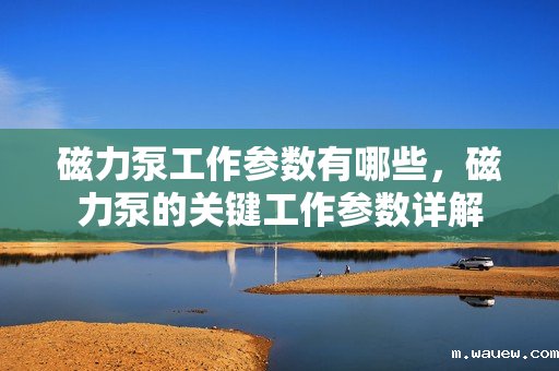 磁力泵工作参数有哪些,磁力泵的关键工作参数详解 磁力泵工作参数有哪些,磁力泵的关键工作参数详解