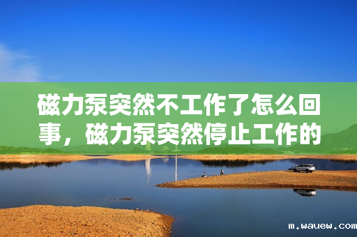 磁力泵突然不工作了怎么回事,磁力泵突然停止工作的可能原因及解决方法 磁力泵突然不工作了怎么回事,磁力泵突然停止工作的可能原因及解决方法