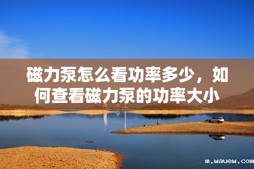 磁力泵怎么看功率多少,如何查看磁力泵的功率大小 磁力泵怎么看功率多少,如何查看磁力泵的功率大小