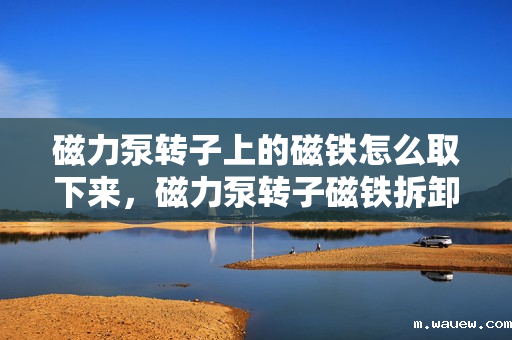 磁力泵转子上的磁铁怎么取下来,磁力泵转子磁铁拆卸方法 磁力泵转子上的磁铁怎么取下来,磁力泵转子磁铁拆卸方法