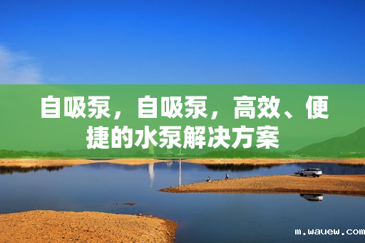 自吸泵,自吸泵,高效、便捷的水泵解决方案 自吸泵,自吸泵,高效、便捷的水泵解决方案