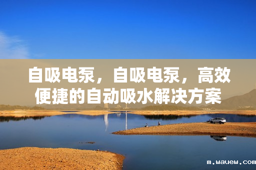 自吸电泵,自吸电泵,高效便捷的自动吸水解决方案 自吸电泵,自吸电泵,高效便捷的自动吸水解决方案