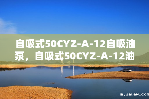 自吸式50CYZ-A-12自吸油泵,自吸式50CYZ-A-12油泵,高效自吸,轻松解决油泵难题 自吸式50CYZ-A-12自吸油泵,自吸式50CYZ-A-12油泵,高效自吸,轻松解决油泵难题