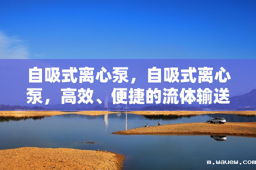 自吸式离心泵,自吸式离心泵,高效、便捷的流体输送解决方案 自吸式离心泵,自吸式离心泵,高效、便捷的流体输送解决方案