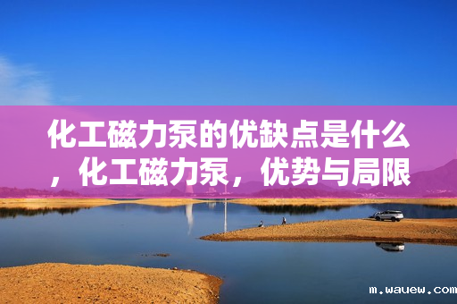 化工磁力泵的优缺点是什么,化工磁力泵,优势与局限一览 化工磁力泵的优缺点是什么,化工磁力泵,优势与局限一览