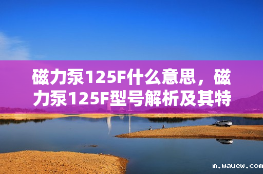 磁力泵125F什么意思,磁力泵125F型号解析及其特点 磁力泵125F什么意思,磁力泵125F型号解析及其特点