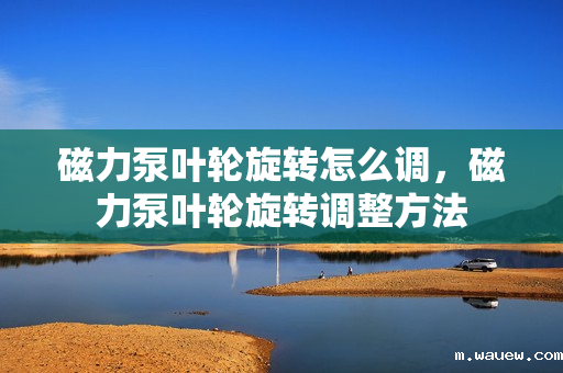 磁力泵叶轮旋转怎么调,磁力泵叶轮旋转调整方法 磁力泵叶轮旋转怎么调,磁力泵叶轮旋转调整方法