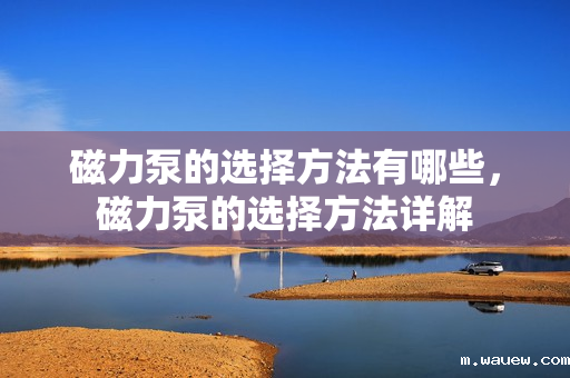 磁力泵的选择方法有哪些,磁力泵的选择方法详解 磁力泵的选择方法有哪些,磁力泵的选择方法详解