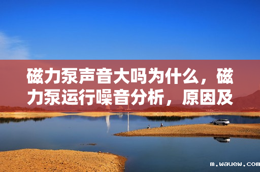 磁力泵声音大吗为什么,磁力泵运行噪音分析,原因及解决方案 磁力泵声音大吗为什么,磁力泵运行噪音分析,原因及解决方案