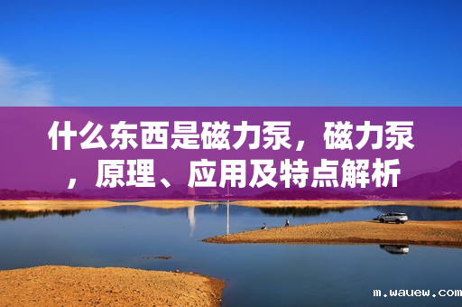 什么东西是磁力泵,磁力泵,原理、应用及特点解析 什么东西是磁力泵,磁力泵,原理、应用及特点解析