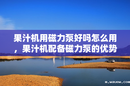 果汁机用磁力泵好吗怎么用,果汁机配备磁力泵的优势及使用方法解析 果汁机用磁力泵好吗怎么用,果汁机配备磁力泵的优势及使用方法解析