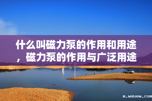 什么叫磁力泵的作用和用途,磁力泵的作用与广泛用途解析 什么叫磁力泵的作用和用途,磁力泵的作用与广泛用途解析