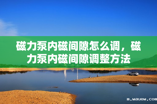 磁力泵内磁间隙怎么调,磁力泵内磁间隙调整方法 磁力泵内磁间隙怎么调,磁力泵内磁间隙调整方法