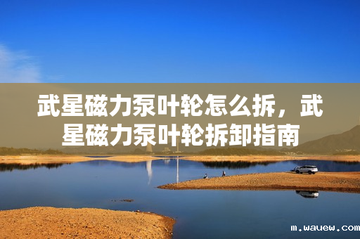 武星磁力泵叶轮怎么拆,武星磁力泵叶轮拆卸指南 武星磁力泵叶轮怎么拆,武星磁力泵叶轮拆卸指南