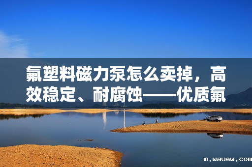 氟塑料磁力泵怎么卖掉,高效稳定、耐腐蚀——优质氟塑料磁力泵热销中,立即抢购! 氟塑料磁力泵怎么卖掉,高效稳定、耐腐蚀——优质氟塑料磁力泵热销中,立即抢购!