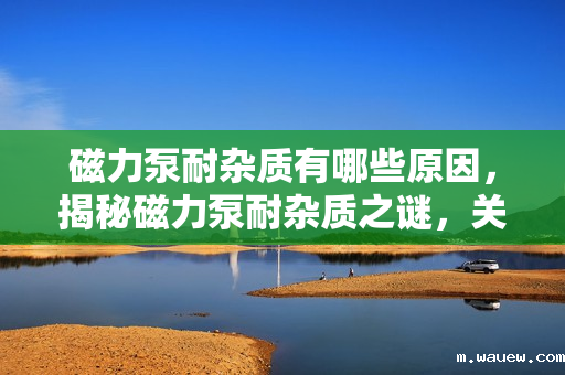 磁力泵耐杂质有哪些原因,揭秘磁力泵耐杂质之谜,关键因素解析 磁力泵耐杂质有哪些原因,揭秘磁力泵耐杂质之谜,关键因素解析