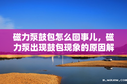 磁力泵鼓包怎么回事儿,磁力泵出现鼓包现象的原因解析 磁力泵鼓包怎么回事儿,磁力泵出现鼓包现象的原因解析