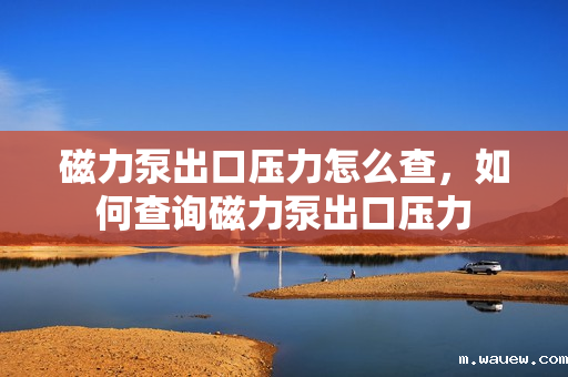 磁力泵出口压力怎么查,如何查询磁力泵出口压力 磁力泵出口压力怎么查,如何查询磁力泵出口压力