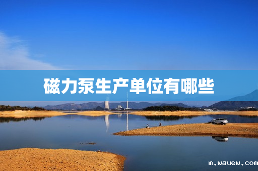 磁力泵生产单位有哪些 磁力泵生产单位有哪些