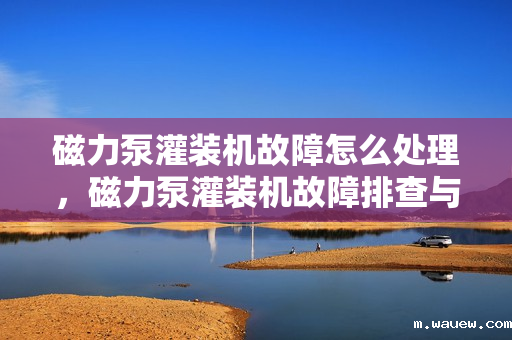 磁力泵灌装机故障怎么处理,磁力泵灌装机故障排查与解决方法 磁力泵灌装机故障怎么处理,磁力泵灌装机故障排查与解决方法