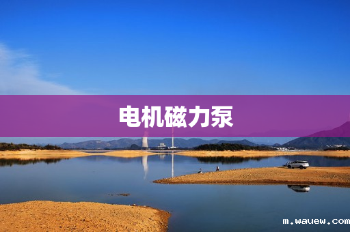 电机磁力泵 电机磁力泵