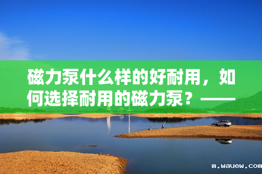 磁力泵什么样的好耐用,如何选择耐用的磁力泵?——优质磁力泵的特点与选购指南 磁力泵什么样的好耐用,如何选择耐用的磁力泵?——优质磁力泵的特点与选购指南