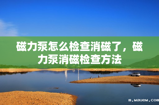 磁力泵怎么检查消磁了,磁力泵消磁检查方法 磁力泵怎么检查消磁了,磁力泵消磁检查方法