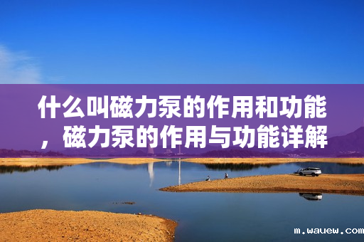 什么叫磁力泵的作用和功能,磁力泵的作用与功能详解 什么叫磁力泵的作用和功能,磁力泵的作用与功能详解