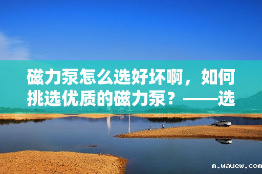 磁力泵怎么选好坏啊,如何挑选优质的磁力泵?——选购指南 磁力泵怎么选好坏啊,如何挑选优质的磁力泵?——选购指南