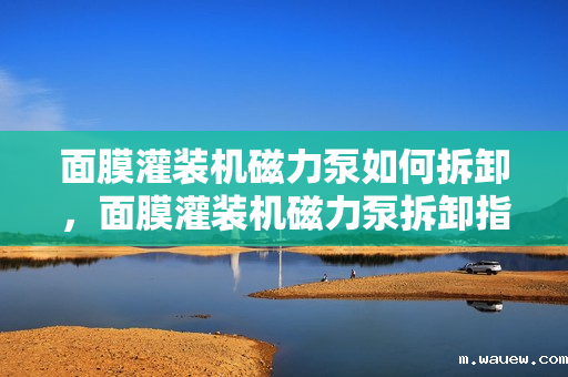 面膜灌装机磁力泵如何拆卸,面膜灌装机磁力泵拆卸指南 面膜灌装机磁力泵如何拆卸,面膜灌装机磁力泵拆卸指南