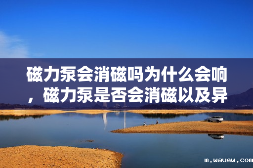 磁力泵会消磁吗为什么会响,磁力泵是否会消磁以及异响原因解析 磁力泵会消磁吗为什么会响,磁力泵是否会消磁以及异响原因解析