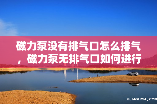 磁力泵没有排气口怎么排气,磁力泵无排气口如何进行有效排气 磁力泵没有排气口怎么排气,磁力泵无排气口如何进行有效排气