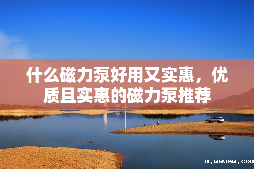 什么磁力泵好用又实惠,优质且实惠的磁力泵推荐 什么磁力泵好用又实惠,优质且实惠的磁力泵推荐