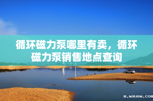 循环磁力泵哪里有卖,循环磁力泵销售地点查询 循环磁力泵哪里有卖,循环磁力泵销售地点查询