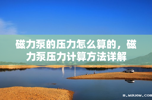 磁力泵的压力怎么算的,磁力泵压力计算方法详解 磁力泵的压力怎么算的,磁力泵压力计算方法详解