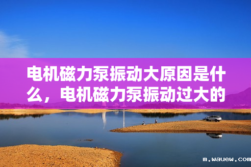 电机磁力泵振动大原因是什么,电机磁力泵振动过大的原因解析 电机磁力泵振动大原因是什么,电机磁力泵振动过大的原因解析