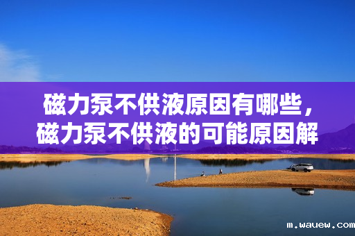 磁力泵不供液原因有哪些,磁力泵不供液的可能原因解析 磁力泵不供液原因有哪些,磁力泵不供液的可能原因解析