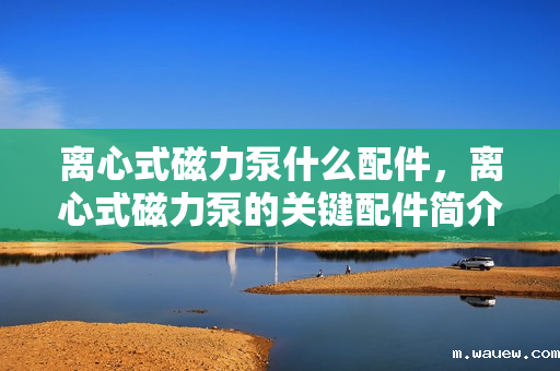 离心式磁力泵什么配件,离心式磁力泵的关键配件简介 离心式磁力泵什么配件,离心式磁力泵的关键配件简介