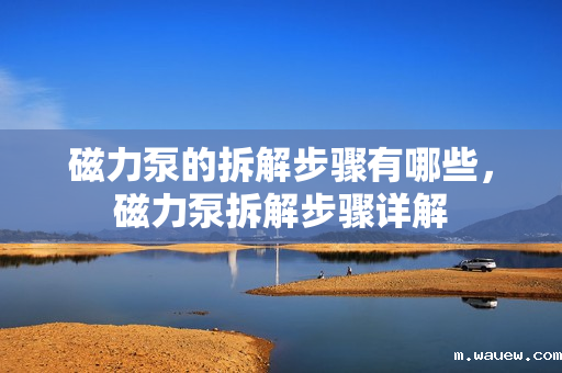 磁力泵的拆解步骤有哪些,磁力泵拆解步骤详解 磁力泵的拆解步骤有哪些,磁力泵拆解步骤详解