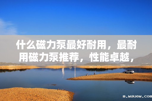 什么磁力泵最好耐用,最耐用磁力泵推荐,性能卓越,经久耐用的磁力泵选择 什么磁力泵最好耐用,最耐用磁力泵推荐,性能卓越,经久耐用的磁力泵选择