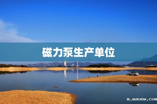 磁力泵生产单位 磁力泵生产单位