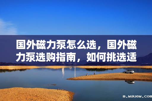 国外磁力泵怎么选,国外磁力泵选购指南,如何挑选适合的磁力泵 国外磁力泵怎么选,国外磁力泵选购指南,如何挑选适合的磁力泵