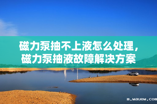 磁力泵抽不上液怎么处理,磁力泵抽液故障解决方案 磁力泵抽不上液怎么处理,磁力泵抽液故障解决方案