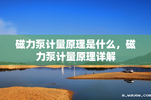 磁力泵计量原理是什么,磁力泵计量原理详解 磁力泵计量原理是什么,磁力泵计量原理详解