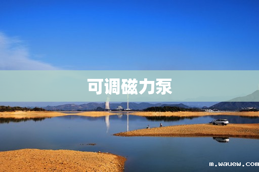 可调磁力泵 可调磁力泵