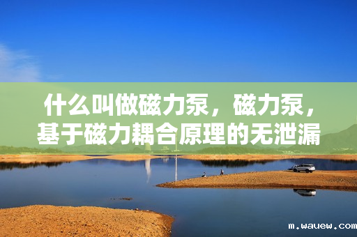 什么叫做磁力泵,磁力泵,基于磁力耦合原理的无泄漏离心泵 什么叫做磁力泵,磁力泵,基于磁力耦合原理的无泄漏离心泵