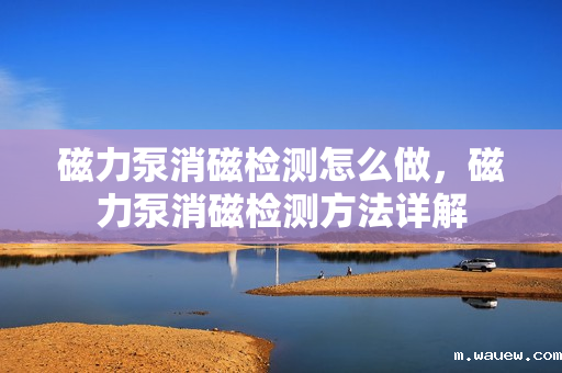 磁力泵消磁检测怎么做,磁力泵消磁检测方法详解 磁力泵消磁检测怎么做,磁力泵消磁检测方法详解