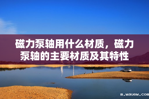 磁力泵轴用什么材质,磁力泵轴的主要材质及其特性 磁力泵轴用什么材质,磁力泵轴的主要材质及其特性