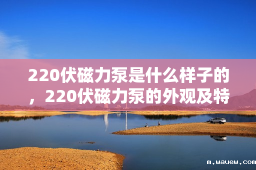 220伏磁力泵是什么样子的,220伏磁力泵的外观及特点解析 220伏磁力泵是什么样子的,220伏磁力泵的外观及特点解析